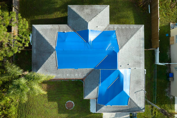 Best Steel Roofing  in Navy Yard City, WA